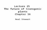 Lecture 25 The future of transgenic plants Chapter 16 Neal Stewart.
