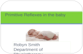 Robyn Smith Department of Physiotherapy UFS 2012 Primitive Reflexes in the baby.