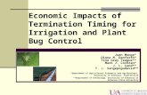 Economic Impacts of Termination Timing for Irrigation and Plant Bug Control Juan Monge* Diana M. Danforth* Tina Gray Teague** Mark J. Cochran* J. L. Lund**