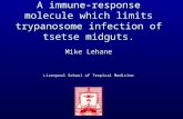 A immune-response molecule which limits trypanosome infection of tsetse midguts. Mike Lehane Liverpool School of Tropical Medicine.