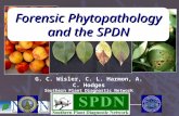 G. C. Wisler, C. L. Harmon, A. C. Hodges Southern Plant Diagnostic Network University of Florida/IFAS Forensic Phytopathology and the SPDN.