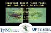 Important Insect Plant Pests and their Hosts in Florida Kirk W. Martin CBSP USDA-National Needs Fellow Graduate Student-University of Florida Plant Medicine.
