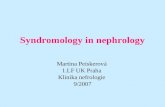 Syndromology in nephrology Martina Peiskerová 1.LF UK Praha Klinika nefrologie 9/2007.