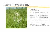 Plant Physiology z “physis” ynature of y(ultimate reasons …) z physical & chemical basis for functions z -------------------------- z structure – form.