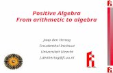 Positive Algebra From arithmetic to algebra Jaap den Hertog Freudenthal Instituut Universiteit Utrecht J.denhertog@fi.uu.nl.