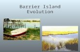 Barrier Island Evolution. Beach Diagram Introduction Three main theories of barrier island formation Other theories-plate tectonics Barrier island migration.