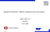 SAP AG CSU Chico Report Painter: More Advanced concepts MINS 298C-04 ABAP/4 Fall 1998.