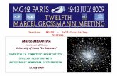 Session: MGAT9 – Self-Gravitating Systems SPHERICALLY SYMMETRIC RELATIVISTIC STELLAR CLUSTERS WITH ANISOTROPIC MOMENTUM DISTRIBUTION Marco MERAFINA Department.
