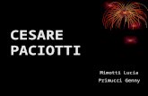 CESARE PACIOTTI Mimotti Lucia Primucci Genny. CESARE PACIOTTI Cesare Paciotti is a luxury brand that deals with footwear. It represents Italy (especially.