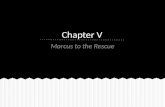 Chapter V Marcus to the Rescue. Cornēlia et Flāvia in hortō saepe ambulant.