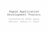 Rapid Application Development Process Presented By Nidhi Gupta Advisor: Cheryl D. Seals.