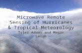 Microwave Remote Sensing of Hurricanes & Tropical Meteorology Tyler Adams and Megan Leigh.