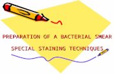 PREPARATION OF A BACTERIAL SMEAR SPECIAL STAINING TECHNIQUES.