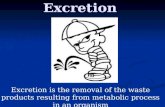 Excretion Excretion is the removal of the waste products resulting from metabolic process in an organism.