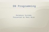 Database Systems Presented by Rubi Boim 1.  Project Details  Basic Oracle Usage  Little More Complex Oracle stuff..  JDBC  Coding Tips 2.