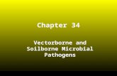 Chapter 34 Vectorborne and Soilborne Microbial Pathogens.