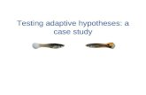 Testing adaptive hypotheses: a case study. Trinidad Venezuela John Endler Poecilia reticulata...the wild guppy.