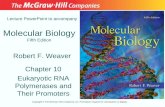 Molecular Biology Fifth Edition Chapter 10 Eukaryotic RNA Polymerases and Their Promoters Lecture PowerPoint to accompany Robert F. Weaver Copyright ©
