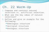 Ch. 22 Warm-Up 1. Compare and contrast natural selection vs. artificial selection. 2. What are the key ideas of natural selection? 3. Define and give an.