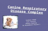 Canine Respiratory Disease Complex Yasmina Sebek Lois Stovall Rehana Ramroop Dr.Brahmbhatt-Period 1.