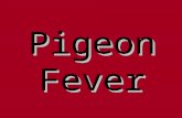 Pigeon Fever. Controversial Feared Misunderstood.