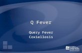 Q Fever Query Fever Coxiellosis. Overview Organism History Epidemiology Transmission Disease in Humans Disease in Animals Prevention and Control Actions.