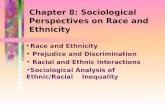 Chapter 8: Sociological Perspectives on Race and Ethnicity Race and Ethnicity Prejudice and Discrimination Racial and Ethnic Interactions Sociological.