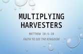 MULTIPLYING HARVESTERS MATTHEW 10:5-10 FAITH TO SEE THE KINGDOM.