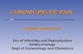 CHRONIC PELVIC PAIN Robert Spaczynski Div of Infertility and Reproductive Endocrinology Dept of Gynecology and Obstetrics.