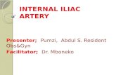 INTERNAL ILIAC ARTERY Presenter; Pumzi, Abdul S. Resident Obs&Gyn Facilitator; Dr. Mboneko.