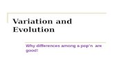 Variation and Evolution Why differences among a pop’n are good!