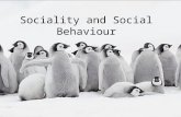 Sociality and Social Behaviour. Level of Sociality Mating strategy Communication System Kin Selection Altruism Predator Pressure Resource Defence Parental.