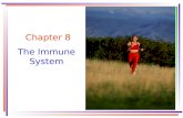 Chapter 8 The Immune System. Key Concepts acquired immune deficiency syndrome (AIDS)acquired immune deficiency syndrome (AIDS) antibodies antibody dependent.