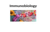 Immunobiology. The role of the immune system The role of the immune system The defence against: (1)pathogenic organisms (viruses, bacteria, fungi, unicellular.