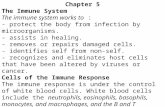 Chapter 5 The Immune System The immune system works to : - protect the body from infection by microorganisms. - assists in healing. - removes or repairs.