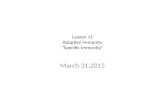 Lesson 11 Adaptive Immunity “Specific Immunity” March 31,2015.