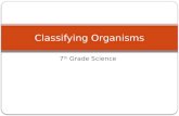 7 th Grade Science Classifying Organisms Objectives: 1. You will be able to explain why classification systems are important. 2.You will be able to demonstrate.