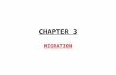 CHAPTER 3 MIGRATION. GEOGRAPHY & MIGRATION HGs look at: 1.From where people migrate 2.To where people migrate 3.Why people migrate.