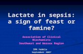 Lactate in sepsis: a sign of feast or famine? Association of Clinical Biochemists Southwest and Wessex Region SMA Hubble September 2007.