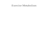 Exercise Metabolism. Oxygen deficit and steady state VO 2.