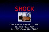 SHOCK Core Rounds August 7, 2003 Dr. Rob Hall PGY4 Dr. Gil Curry MD, FRCPC.