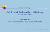 Cell and Molecular Biology Fifth Edition Chapter 9: The Cytoskeleton and Cell Motility Copyright © 2005 by John Wiley & Sons, Inc. Gerald Karp.