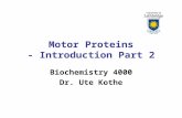 Motor Proteins - Introduction Part 2 Biochemistry 4000 Dr. Ute Kothe.