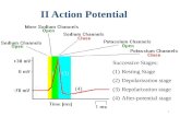 1 II Action Potential Successive Stages: (1)Resting Stage (2)Depolarization stage (3)Repolarization stage (4)After-potential stage (1) (2)(3) (4)