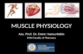 MUSCLE PHYSIOLOGY Ass. Prof. Dr. Emre Hamurtekin EMU Faculty of Pharmacy.
