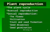 DRM Biology Y10 1 Plant reproduction  The plant cycle  Asexual reproduction  Sexual reproduction:  The flower  Pollination  Fruit and seed formation.