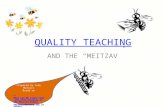 QUALITY TEACHING AND THE “MEITZAV” Prepared by Judy Mutzari Based on What Can We Learn from the Item Analysis of the Meitzav Exams? Recommendations for.