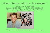 "Food Chains with a Scavenger" Penn State Behrend Summer 2005 REU --- NSF/ DMS #0236637 Ben Nolting, Joe Paullet, Joe Previte Tlingit Raven, an important.