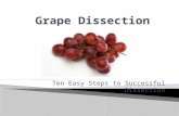 Ten Easy Steps to Successful Dissection.  Dissection kit  Scissors, scalpel(optional), straight needle, tweezers, T pins.