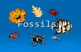 Fossils. What are Fossils? Fossils are the remains of plants or animals that lived a long time ago, or any evidence of their existence.